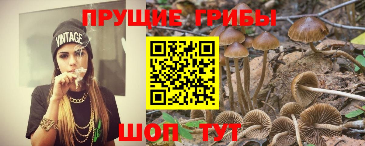 Галлюциногенные грибы Magic Shrooms  Галлюциногенные грибы Psilocybe  Ступино  Вход с VPN 